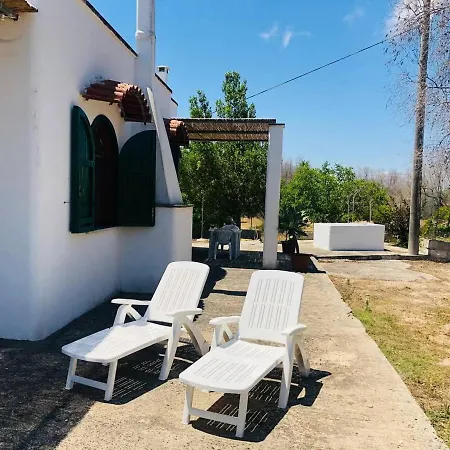 Santa Sili